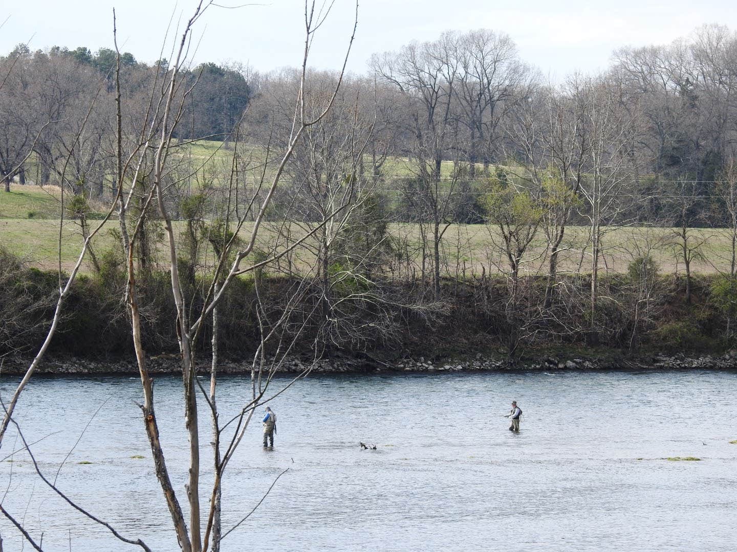 Camper-submitted photo at Denton Ferry RV Park near Lakeview, AR