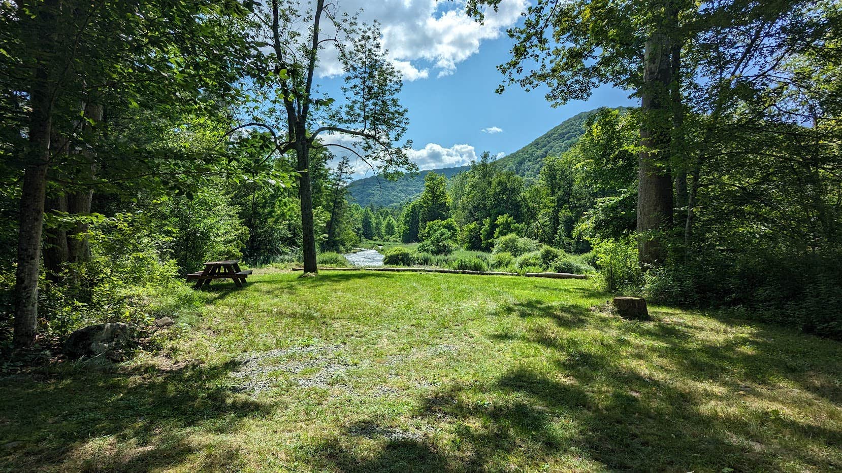 Camper-submitted photo at Big Indian Wilderness Special Spot near Margaretville, NY