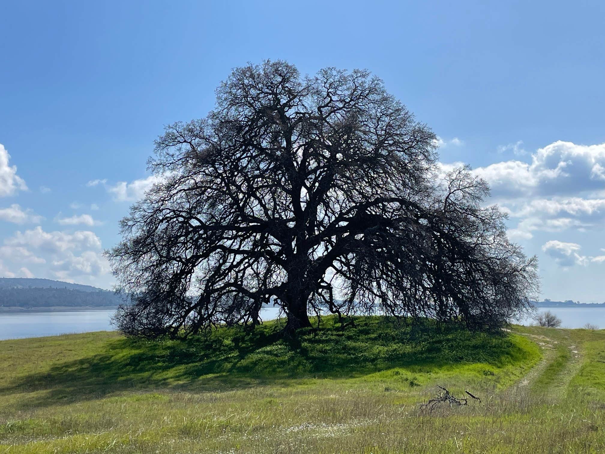 Peninsula Campground — Folsom Lake State Recreation Area