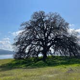 Review photo of Peninsula Campground — Folsom Lake State Recreation Area by Ray B., March 7, 2024