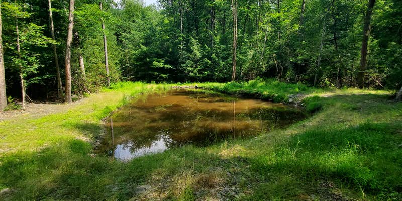 Camper submitted image from Sundown