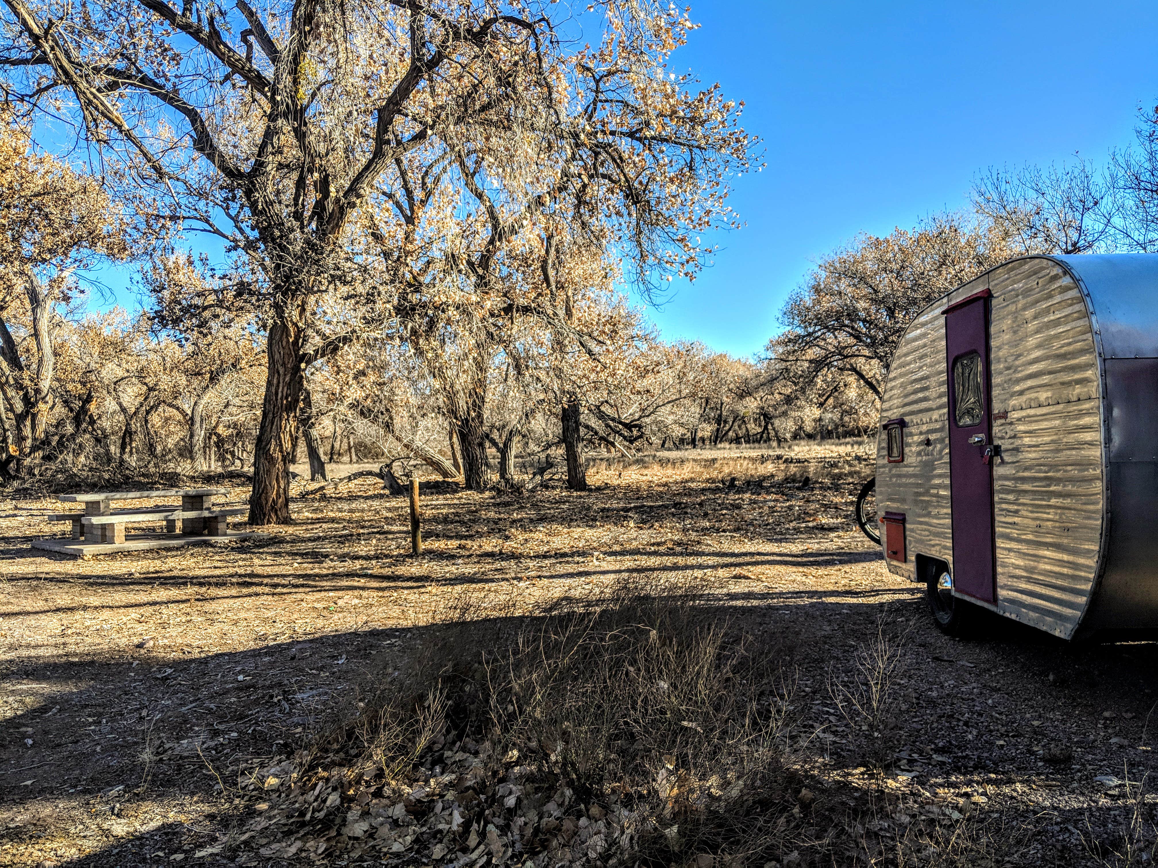 Camper submitted image from San Antonio Bosque Park - 2