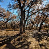 Review photo of San Antonio Bosque Park by Shari  G., December 31, 2018