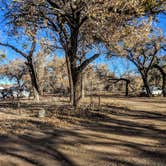 Review photo of San Antonio Bosque Park by Shari  G., December 31, 2018