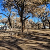 Review photo of San Antonio Bosque Park by Shari  G., December 31, 2018