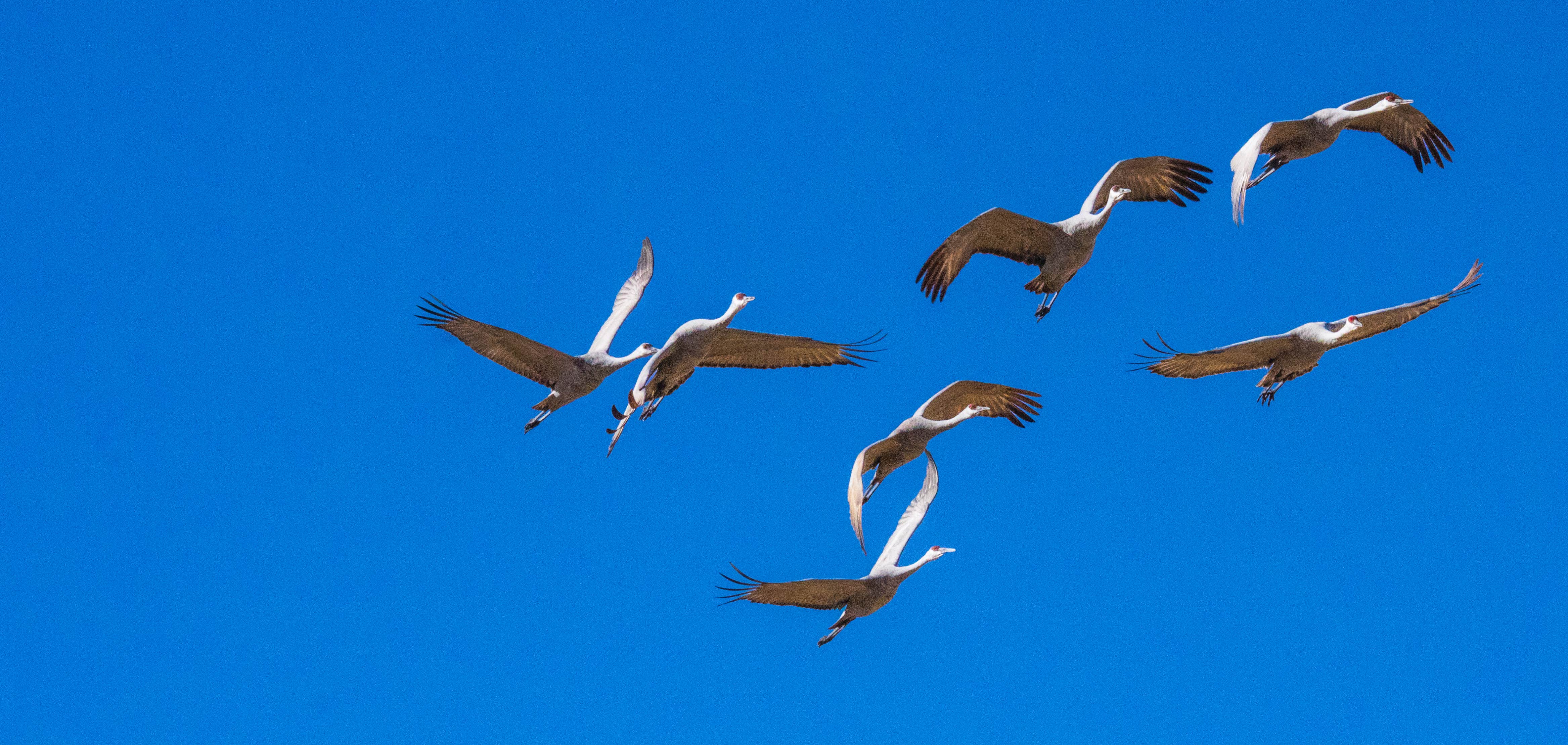 Camper submitted image from San Antonio Bosque Park - 4