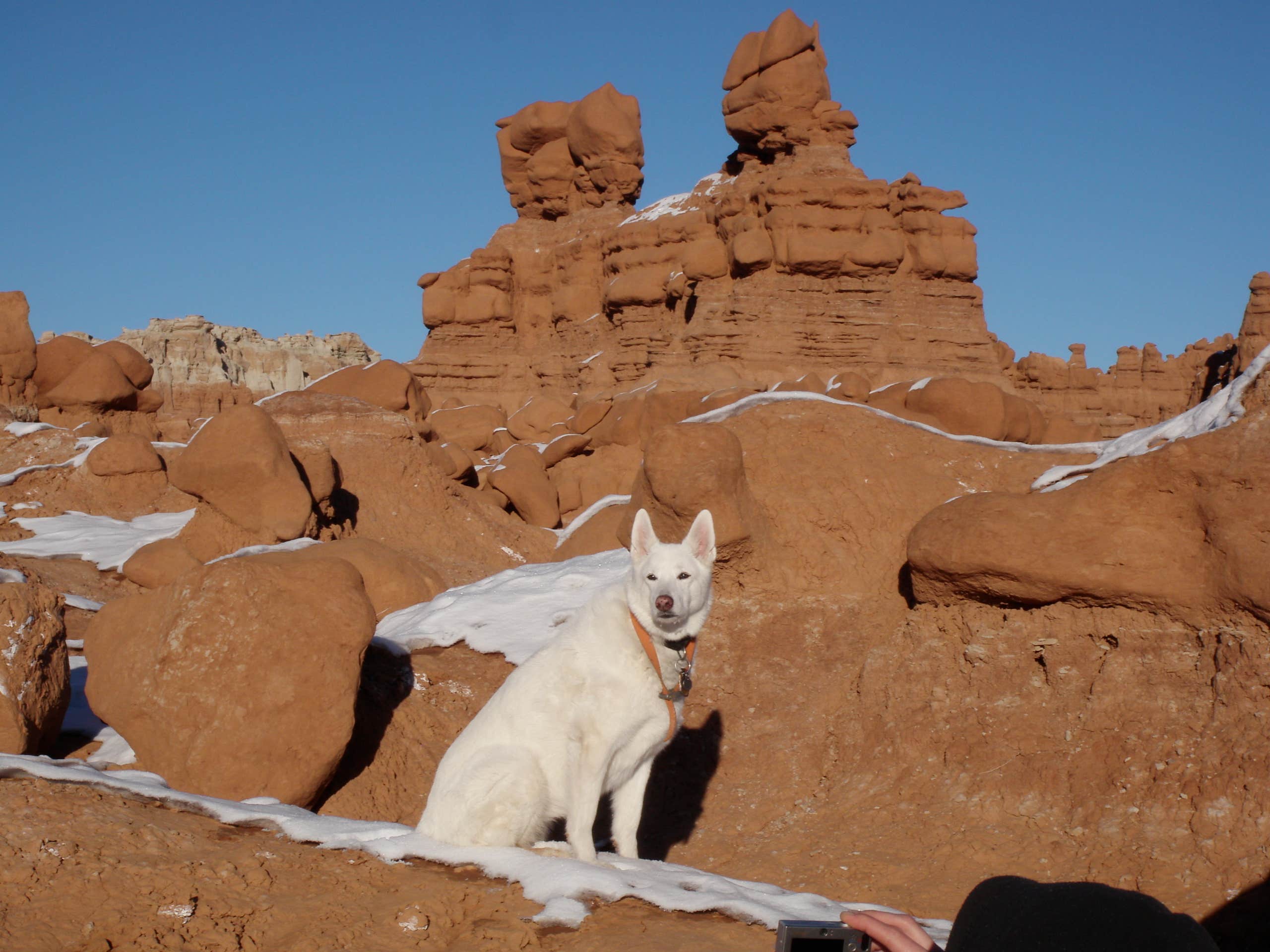 Brad G.'s photo of camping with pets at Goblin Valley State Park Campground near Hanksville, UT
