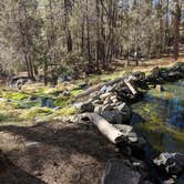 Review photo of Vista Linda Campground — Santa Fe National Forest by Shari  G., January 1, 2019