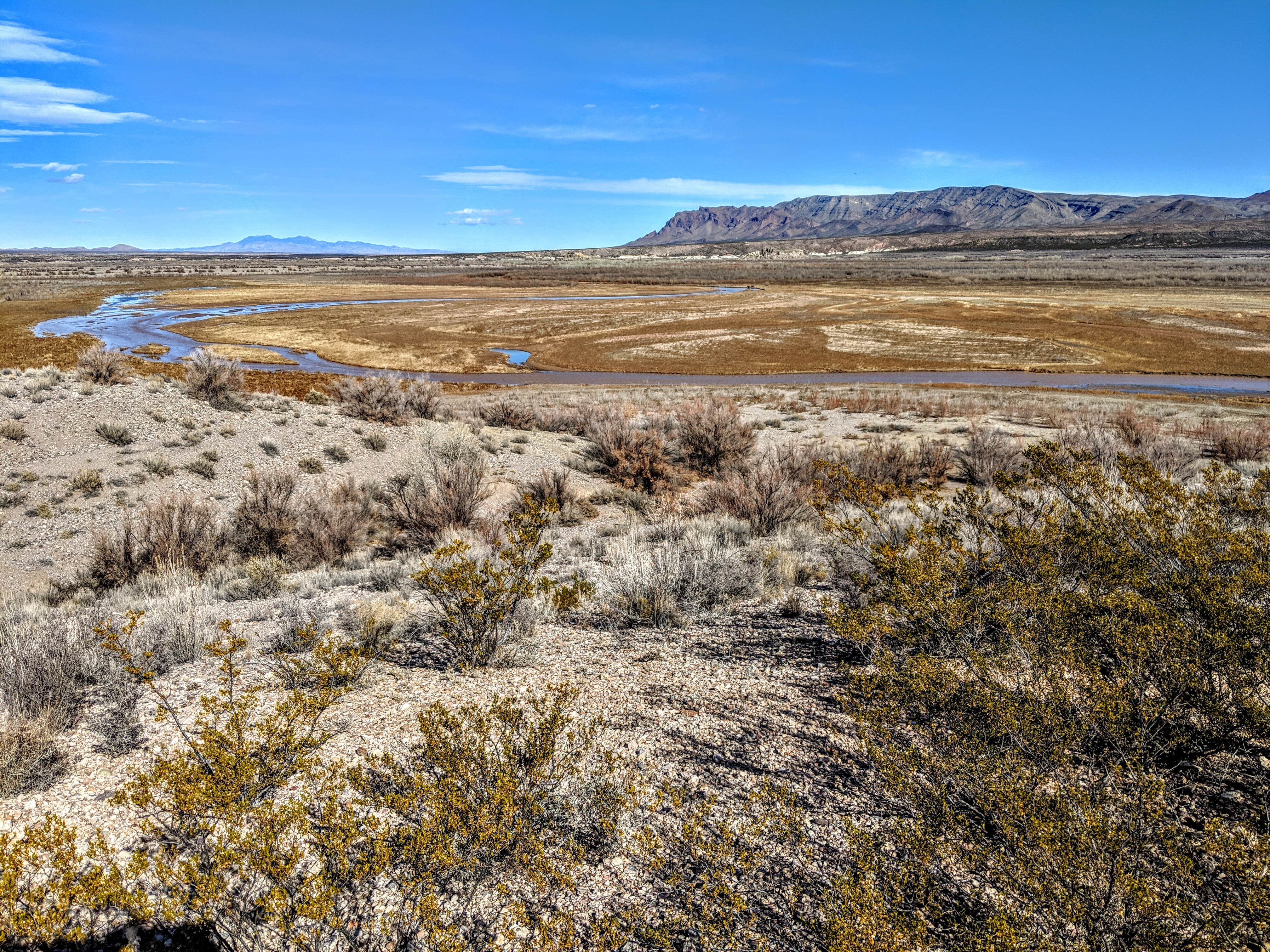 Camper submitted image from South Monticello — Elephant Butte Lake State Park - 2