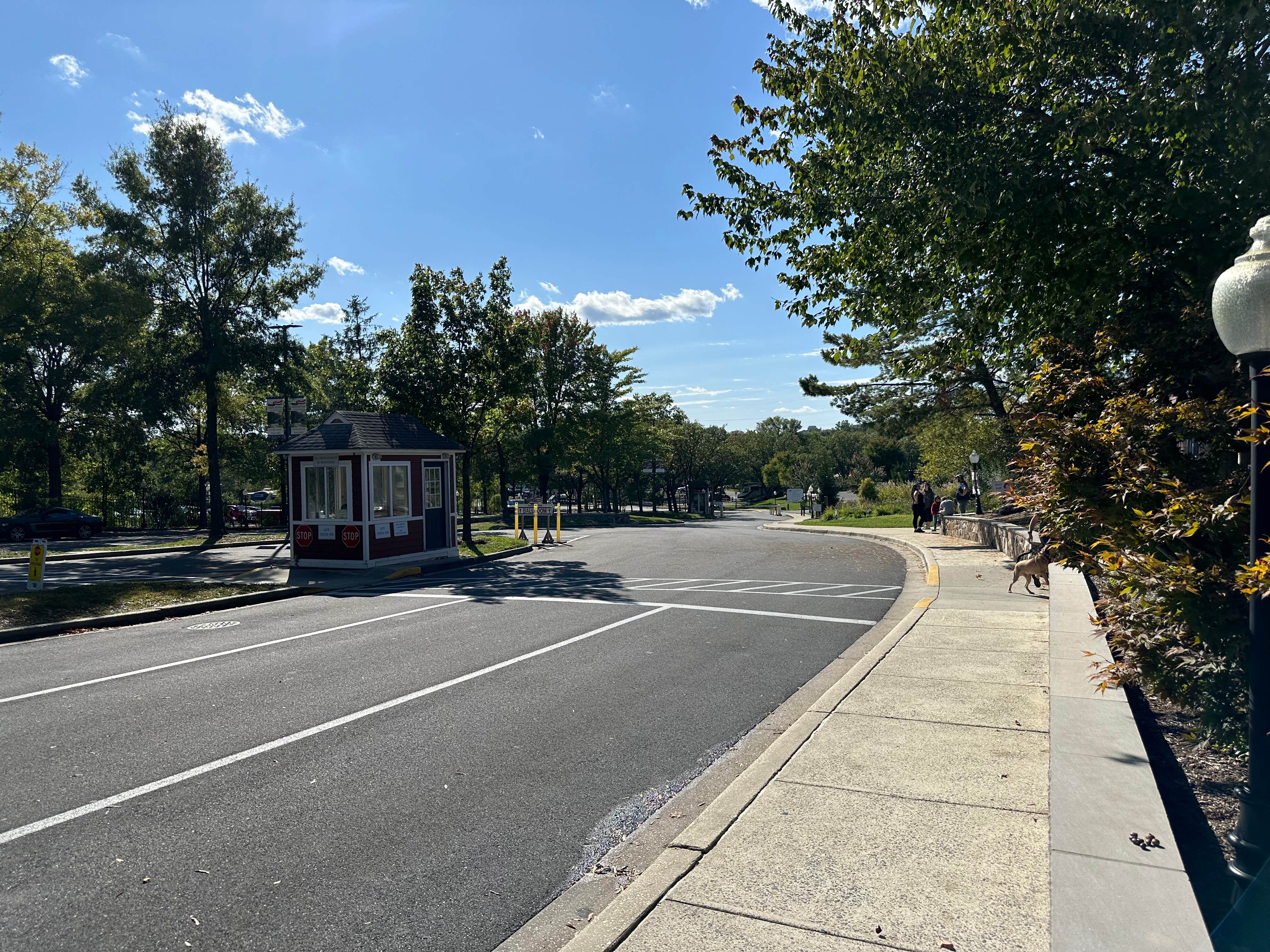 Stefan K.'s photo of camping with pets at Cherry Hill Park near Catonsville, MD