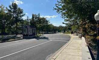 Stefan K.'s photo of camping with pets at Cherry Hill Park near Parkville, MD