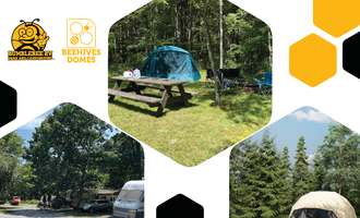 Camping near Swallow Falls State Park Campground: Bumble Bee RV Park & Campground, Mchenry, Maryland