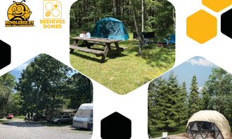 Camping near Blue Moon Rising: Bumble Bee RV Park & Campground, Mchenry, Maryland