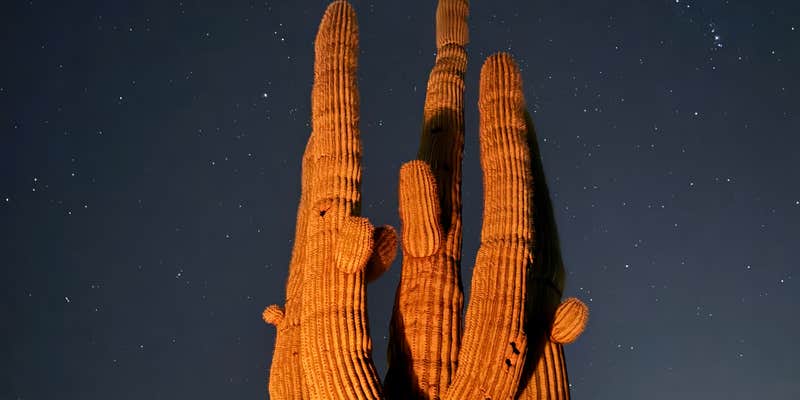 Camper submitted image from Ironwood Campground - McDowell Mountain Regional Park