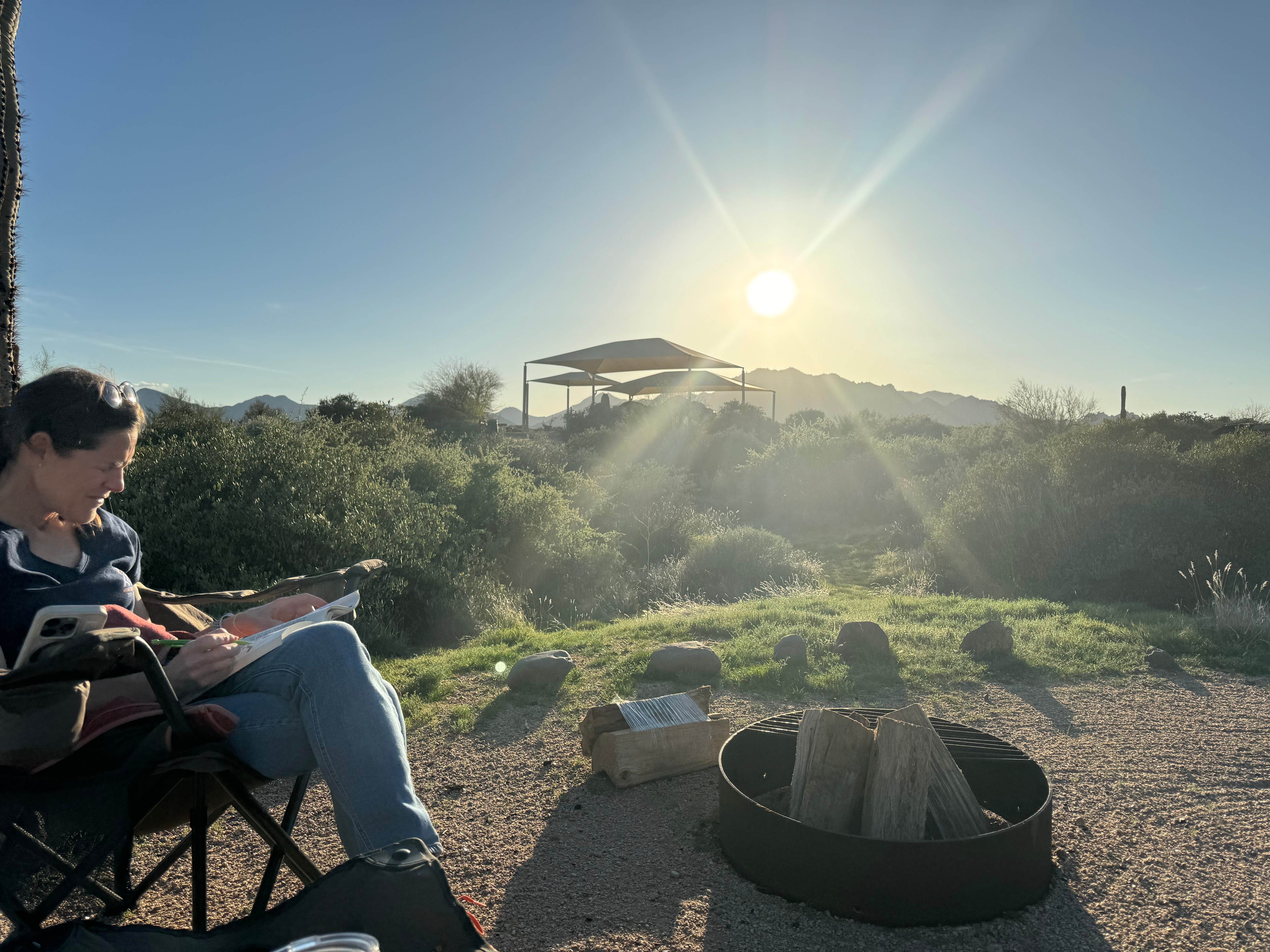 Camper-submitted photo at McDowell Regional Park-Ironwood near Glendale, AZ