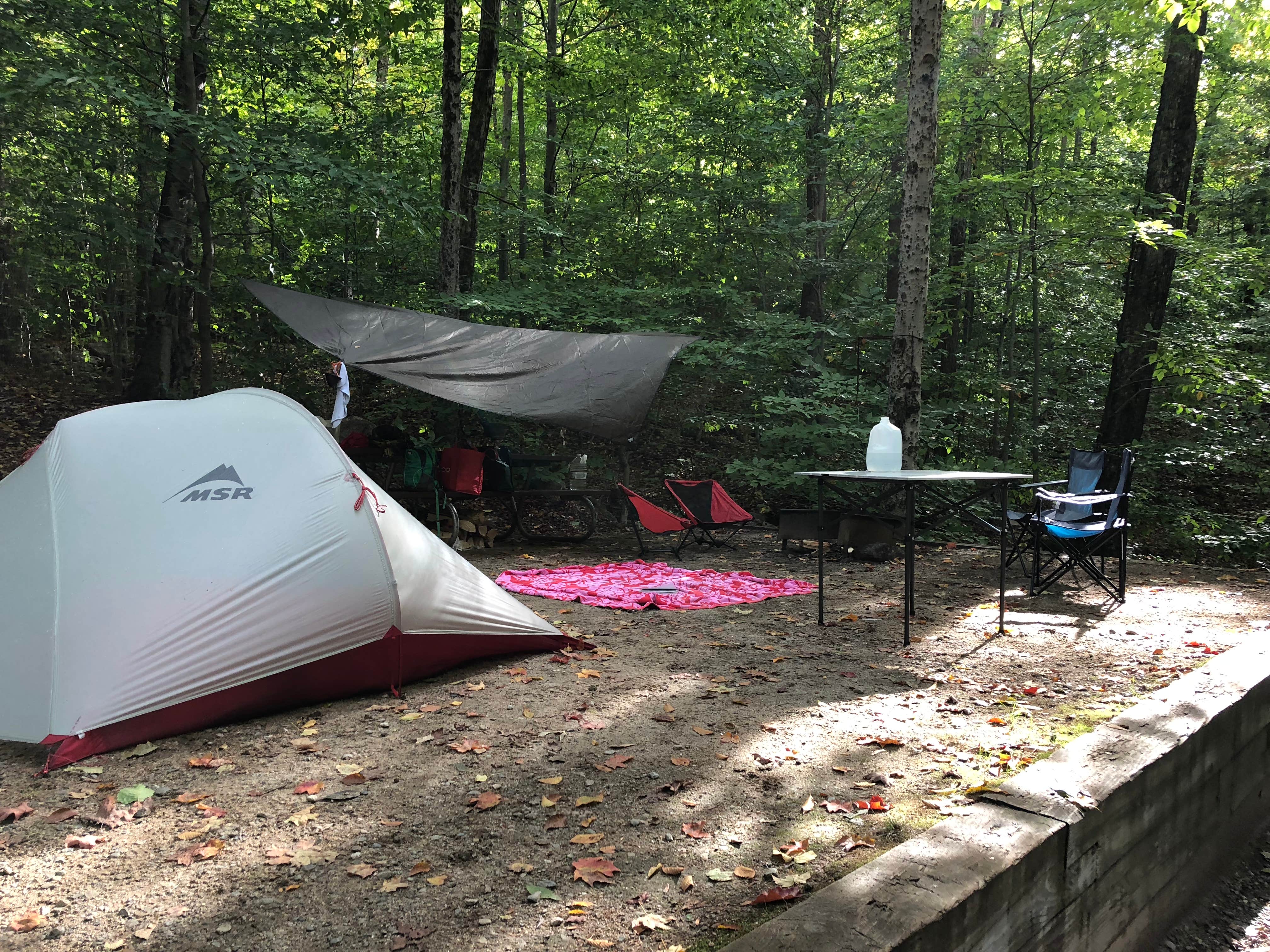 Monica S.'s photo at Russell Pond Campground near Campton, NH