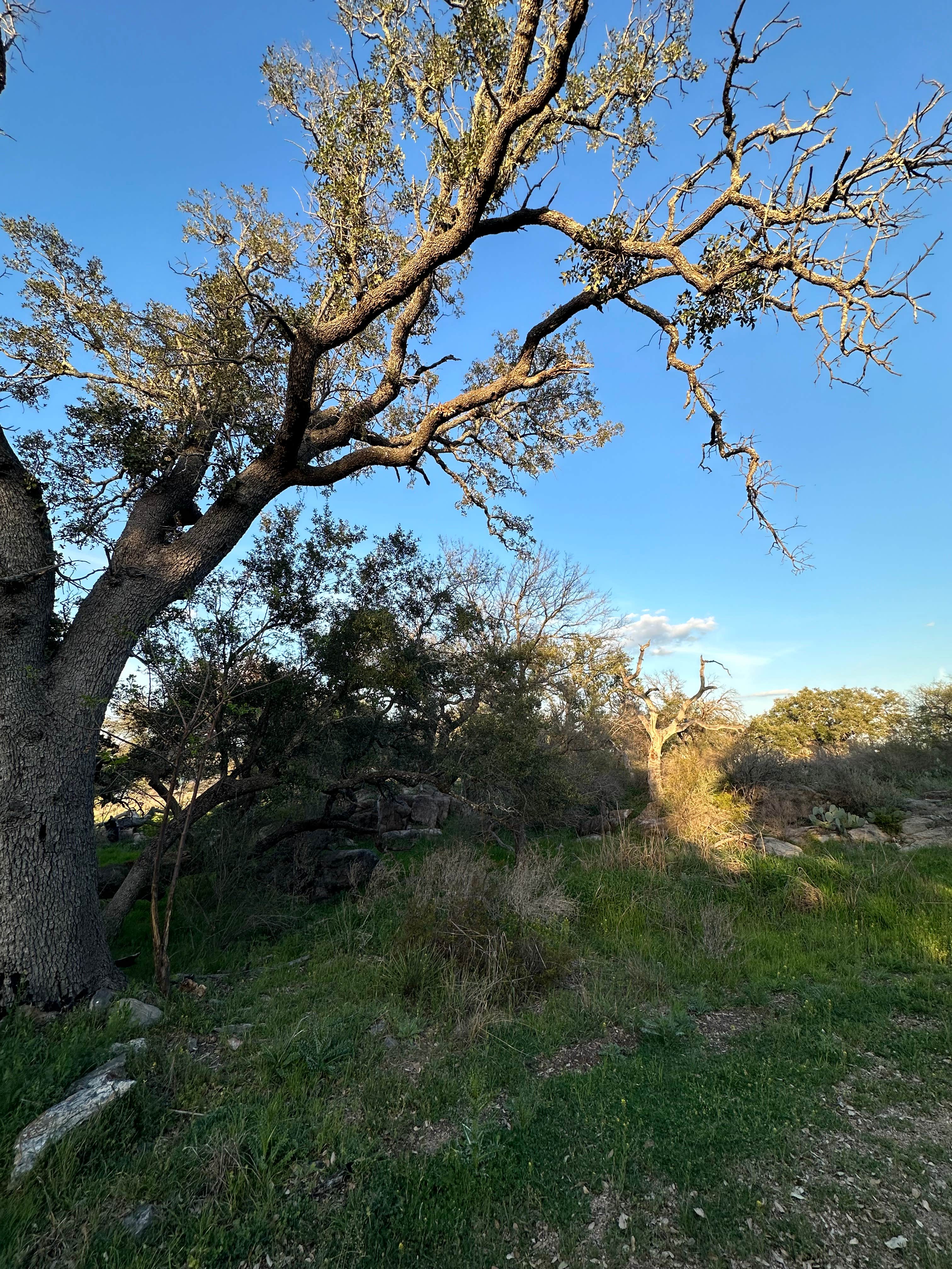 Camper-submitted photo at Riverway RV Park near Lampasas, TX