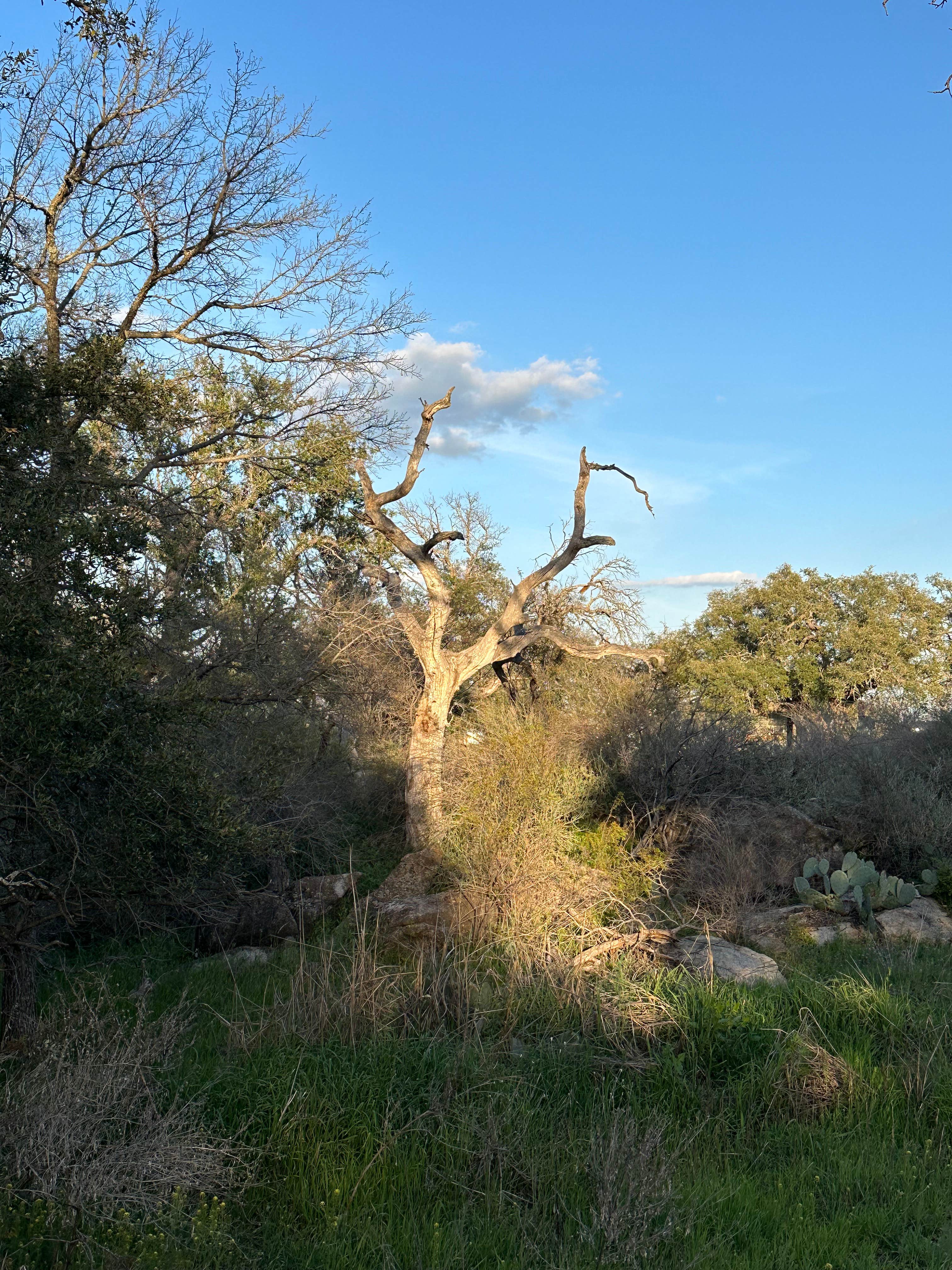 Camper-submitted photo at Riverway RV Park near Lampasas, TX