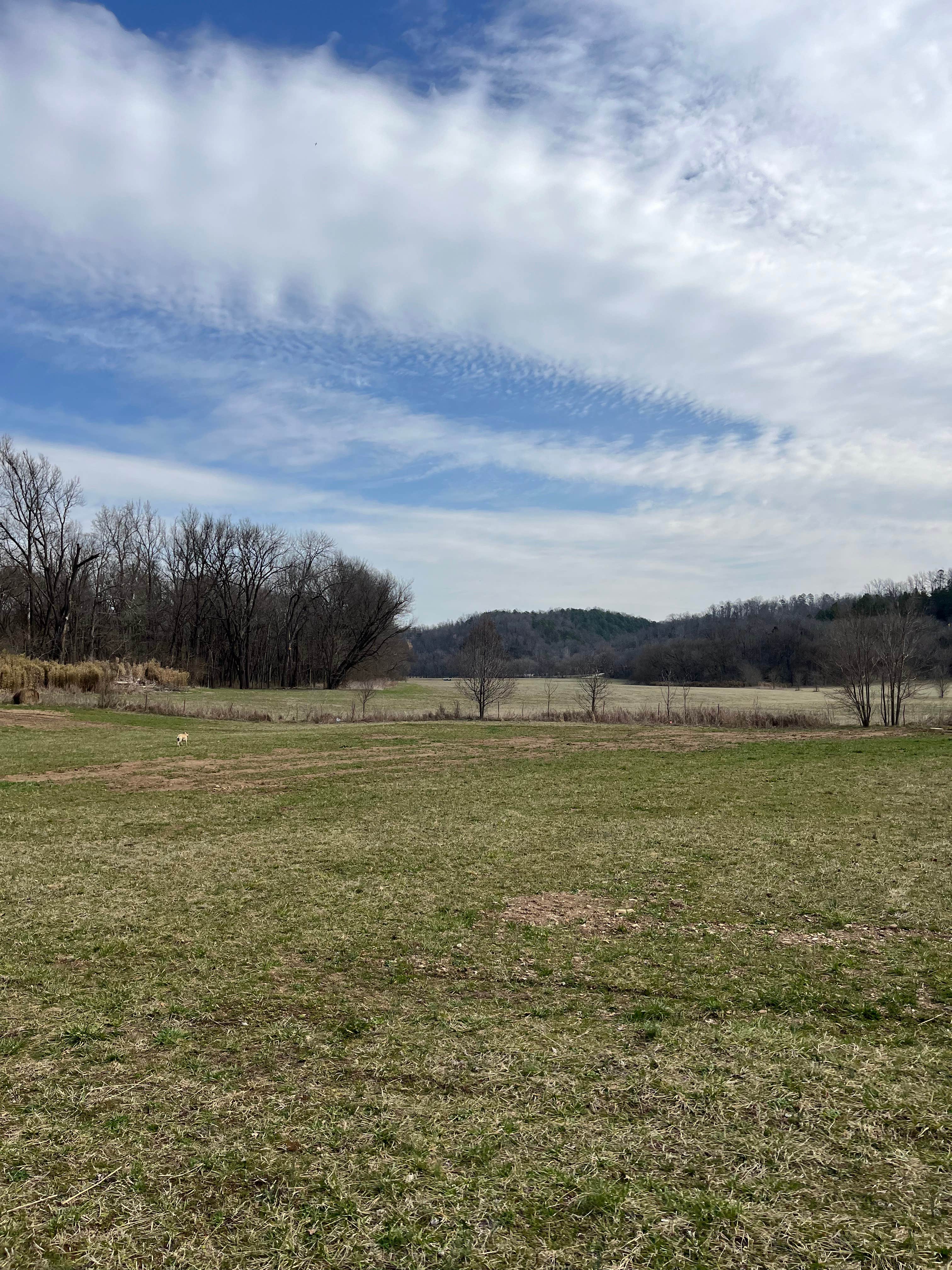 Camper-submitted photo at Barn on the Buffalo near Marble Falls, AR