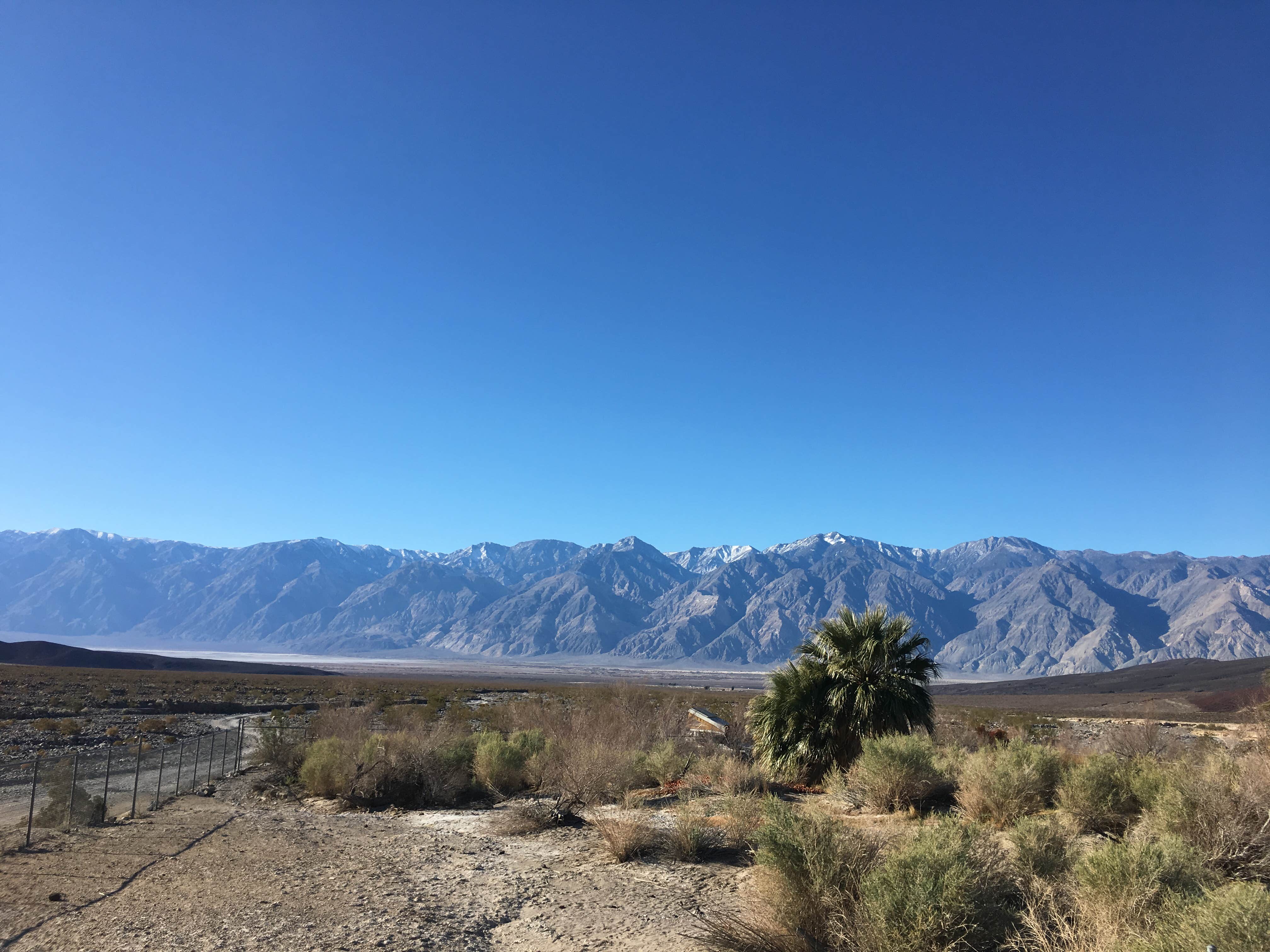 Camper submitted image from Saline Valley Primitive Campground — Death Valley National Park - 2