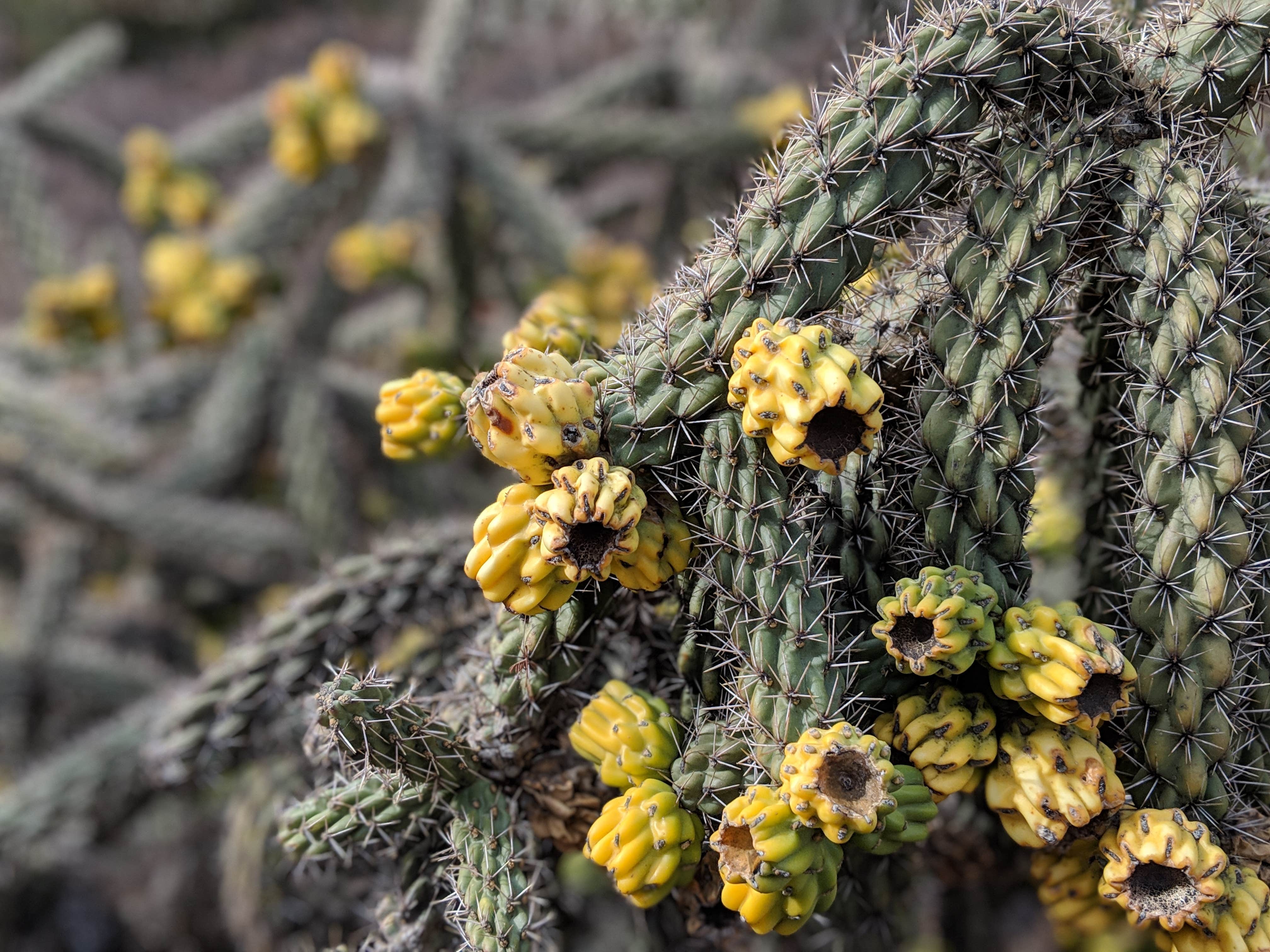 Camper-submitted photo at Stewart Campground near Rodeo, NM