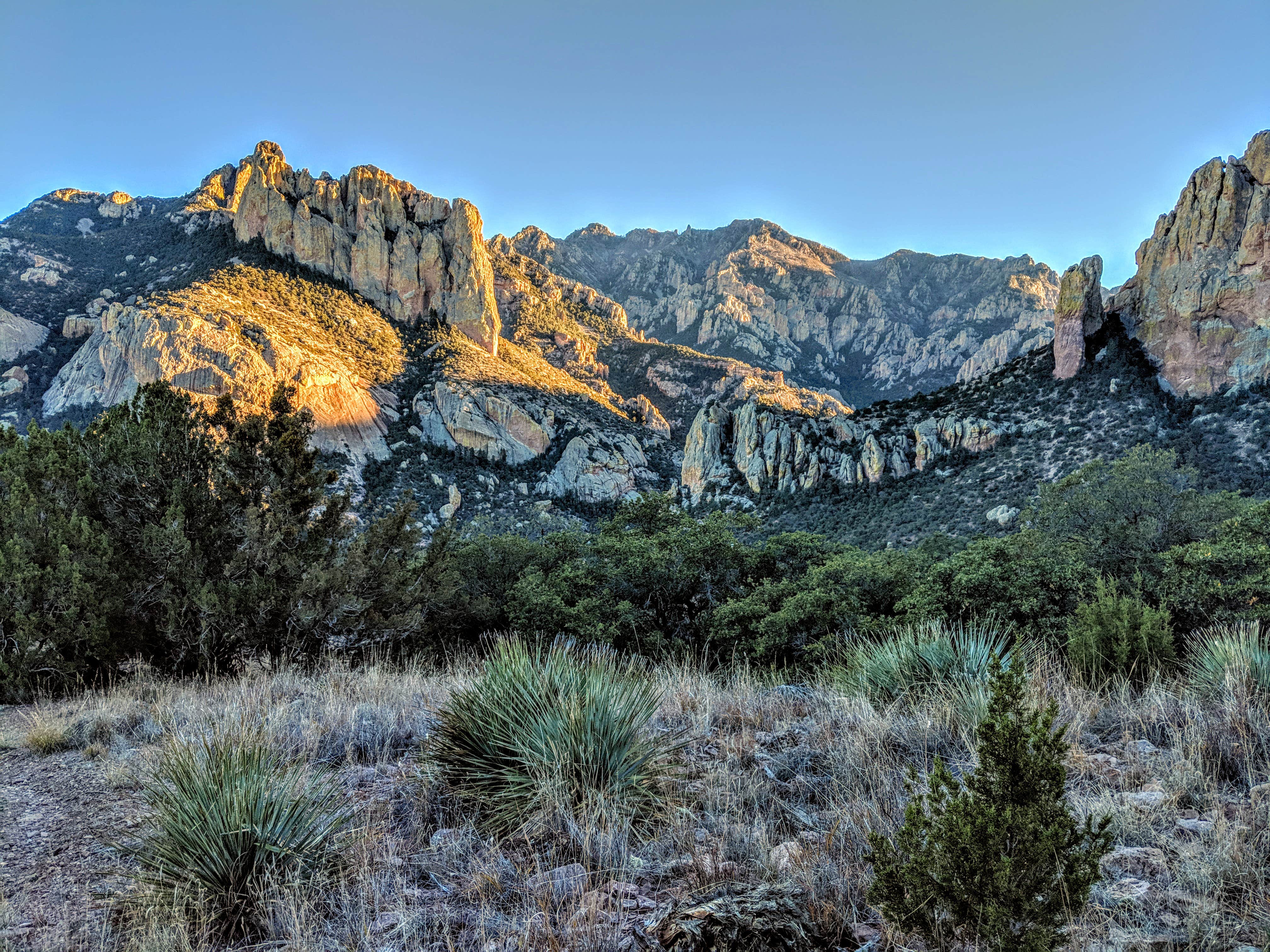 Camper-submitted photo at Stewart Campground near Rodeo, NM
