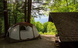 Michele S.'s photo at Coolidge State Park Campground near Proctor, VT