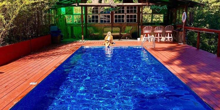 Camper submitted image from Glamping in the Redwoods 🐶🐕💃🕺🏼