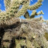 Review photo of Snyder Hill BLM Camping Area by Shari  G., January 4, 2019