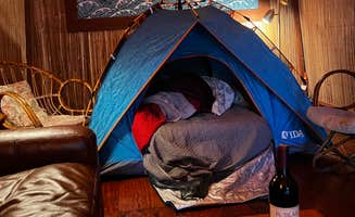 Robert C.'s photo of glamping accommodations at Glamping in the Redwoods 🐶🐕💃🕺🏼 near Sonoma, CA
