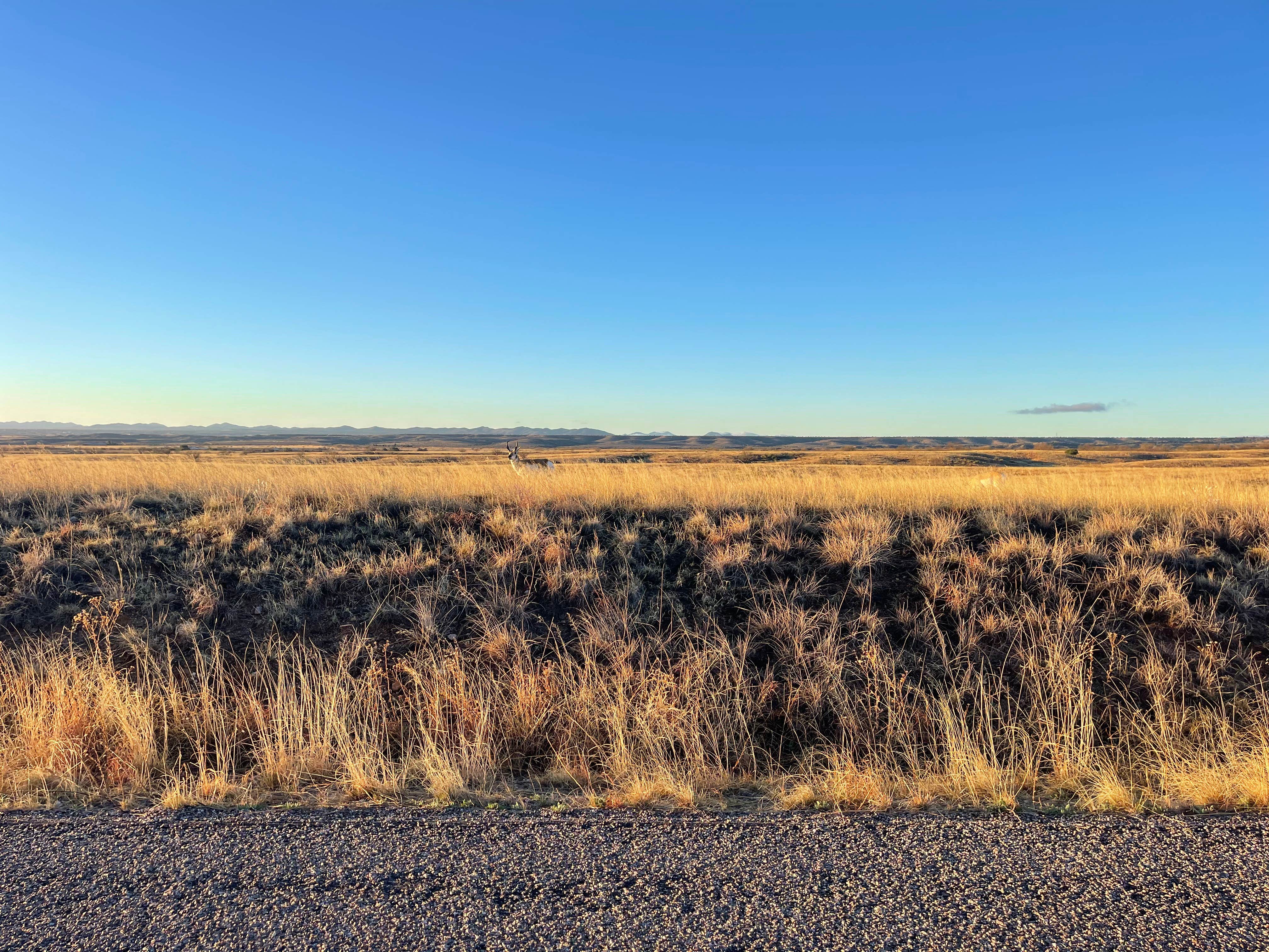 Michael  R.'s photo of a dispersed camping area at Cieneguita Dispersed Camping Area - Las Cienegas National Conservation Area near Tucson, AZ