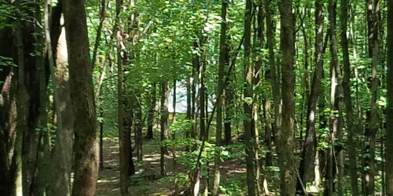 Camper submitted image from Cherry Plain Sanctuary Farm