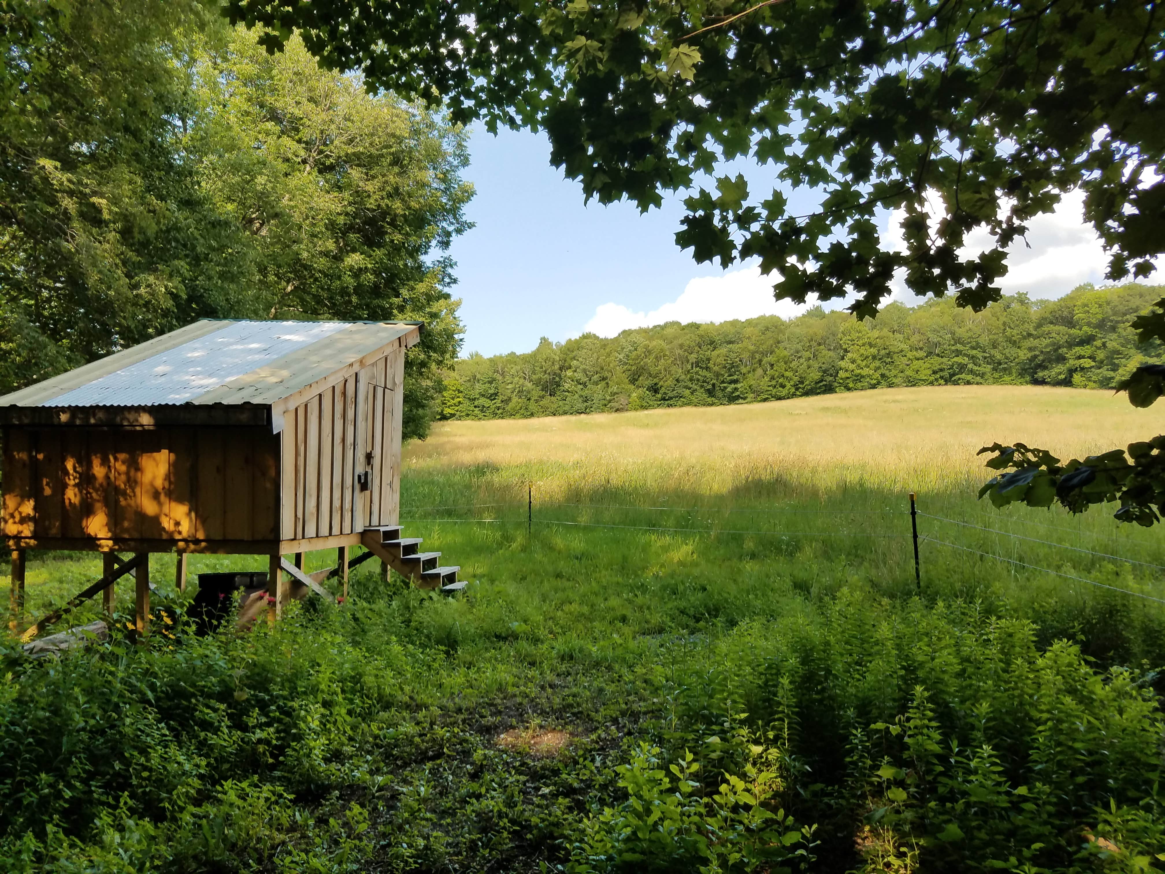 Camper-submitted photo at Cherry Plain Sanctuary Farm near Latham, NY
