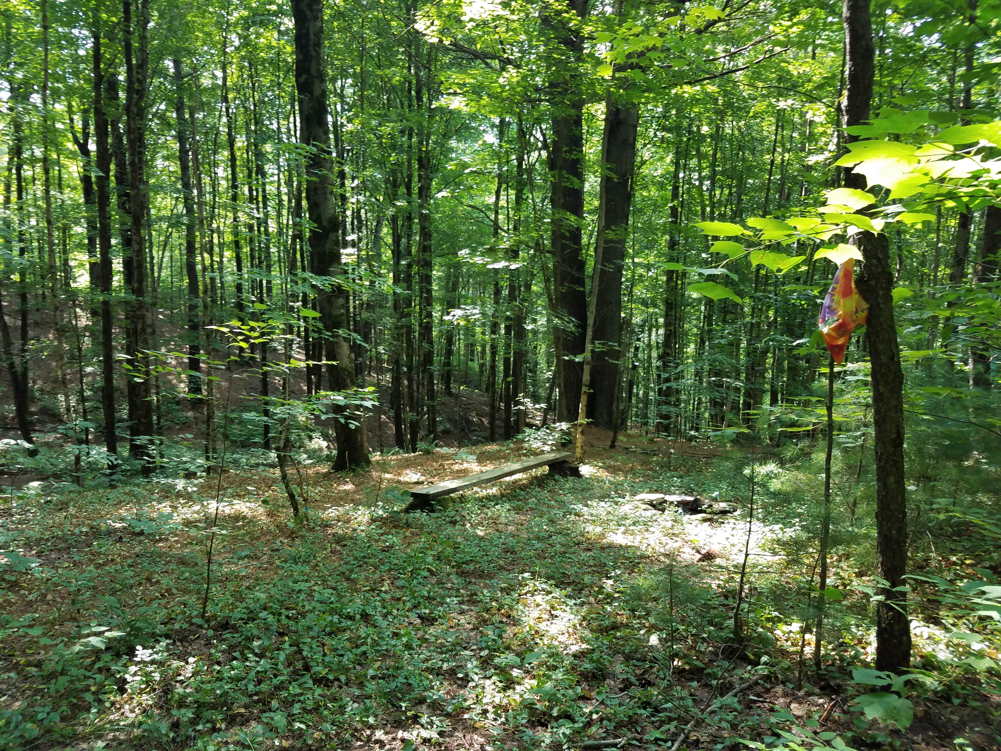 Camper-submitted photo at Cherry Plain Sanctuary Farm near Latham, NY