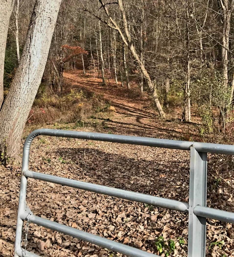 Camper-submitted photo at Freedom Farm Homestead near Brookfield, CT