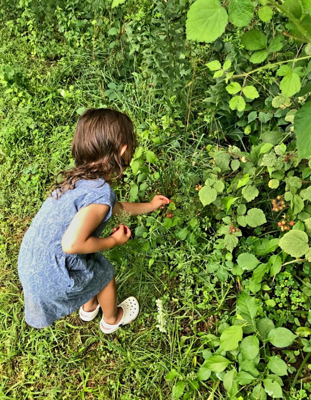 Camper-submitted photo at Freedom Farm Homestead near Brookfield, CT