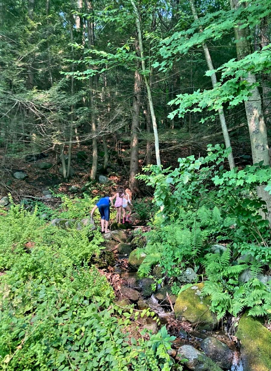 Camper-submitted photo at Freedom Farm Homestead near Brookfield, CT