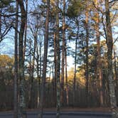 Review photo of James H 'Sloppy' Floyd State Park Campground by Liz H., January 6, 2019