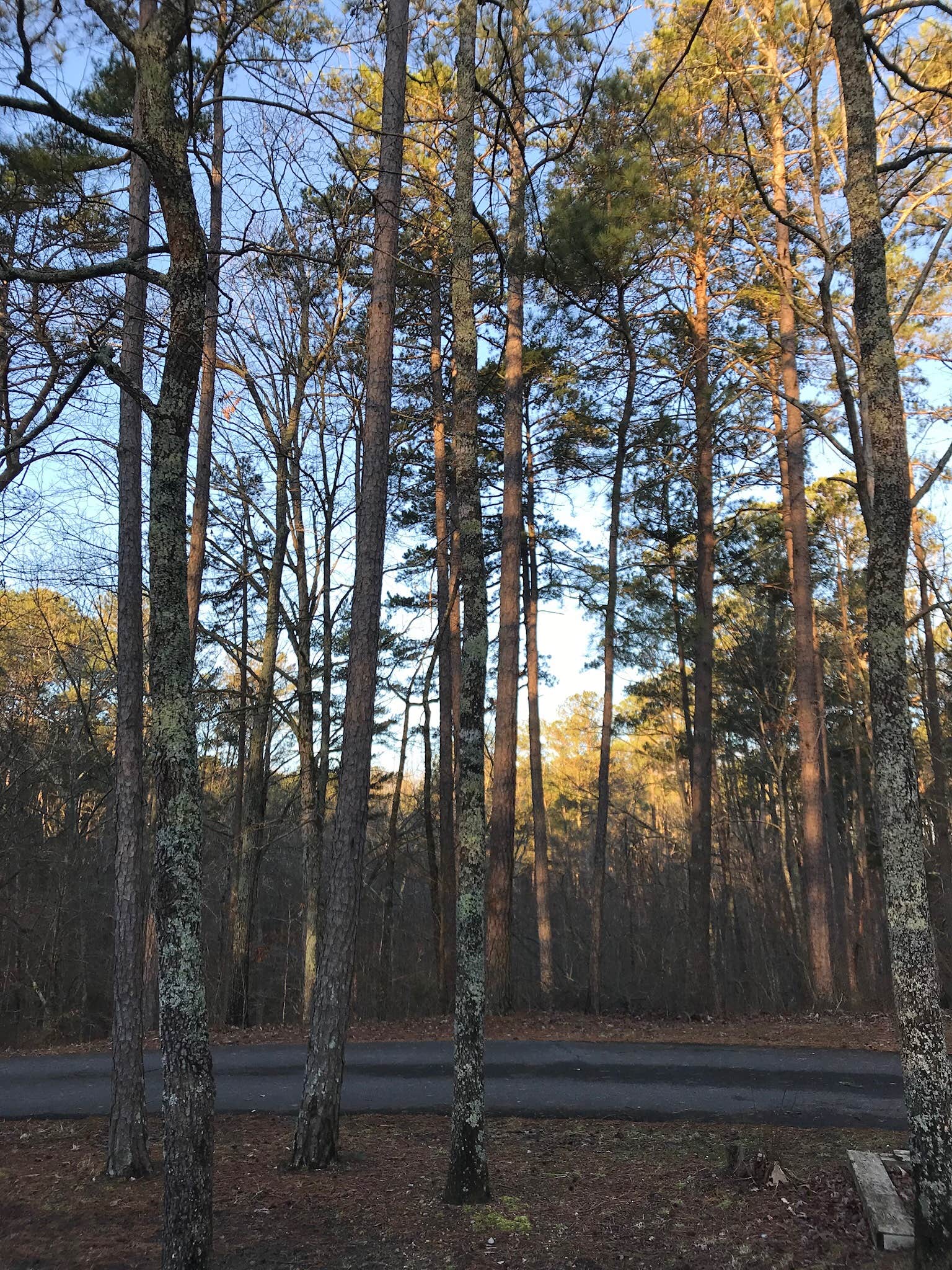 Camper submitted image from James H 'Sloppy' Floyd State Park Campground - 2