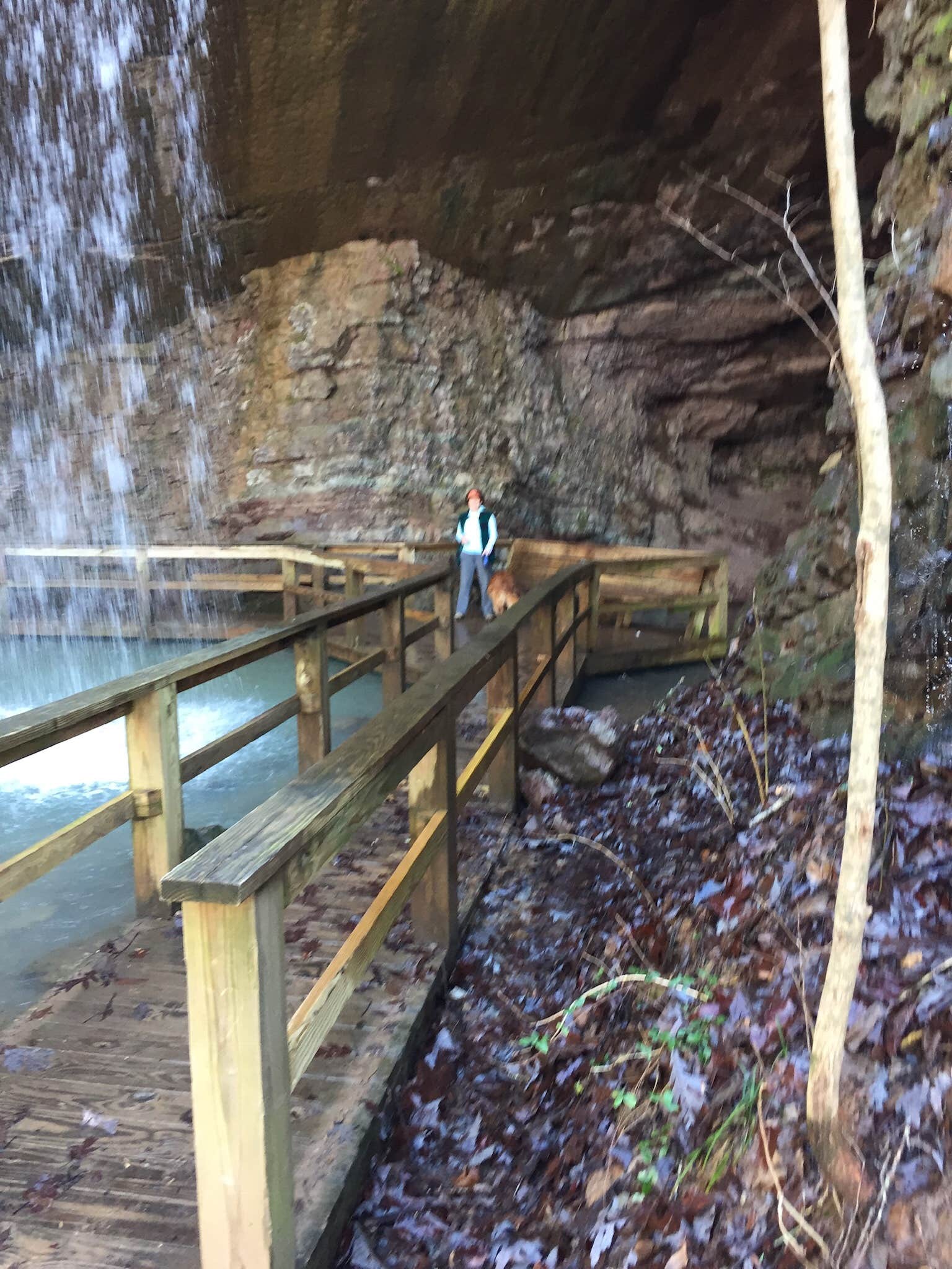 Camper submitted image from James H 'Sloppy' Floyd State Park Campground - 2