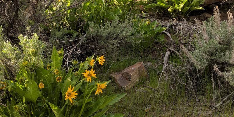 Camper submitted image from Cove Palisades Resort & Marina