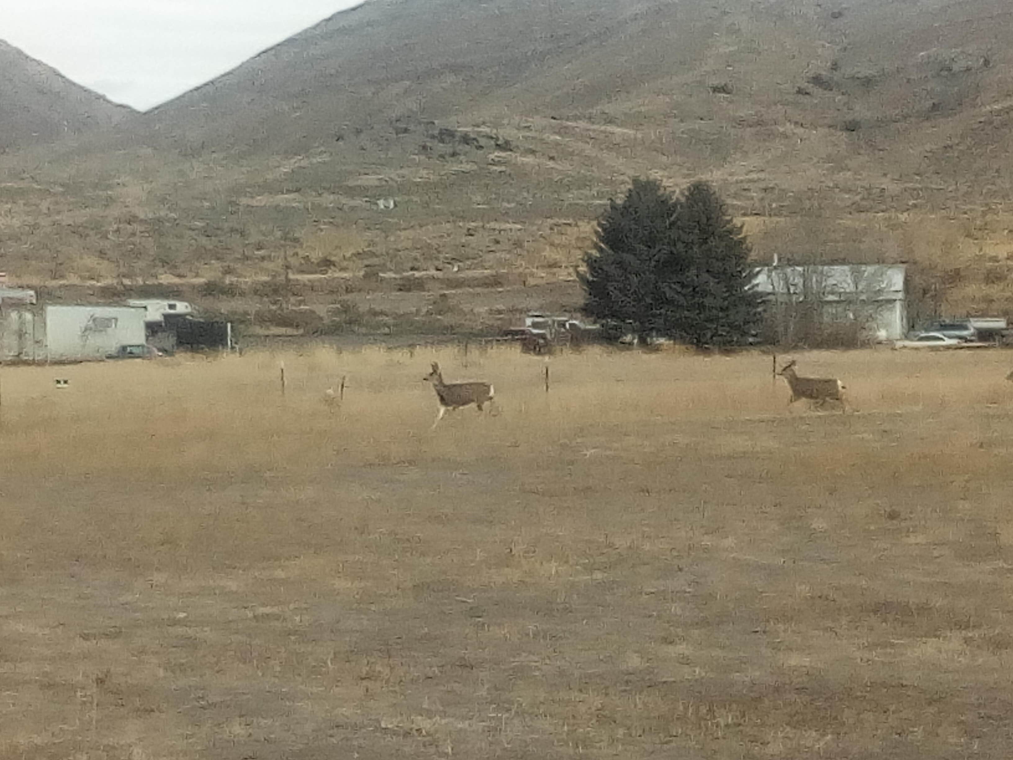 Camper submitted image from Honeys Park - 3