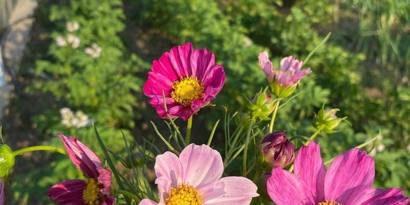 Camper submitted image from Webb Gardens