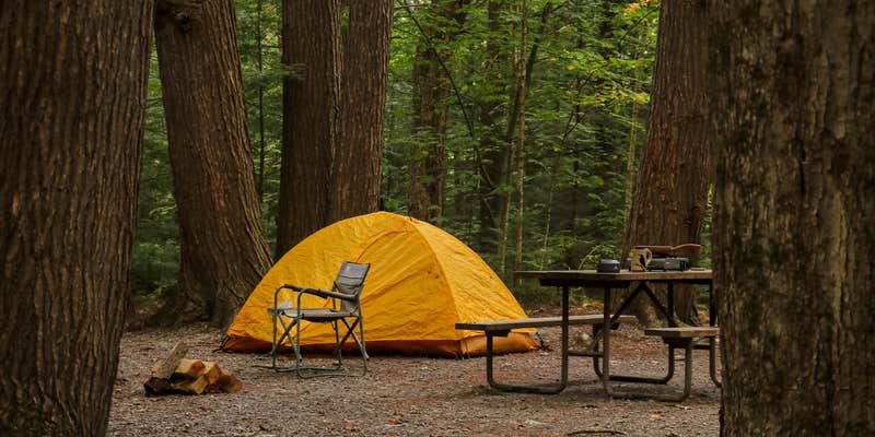 Camper submitted image from Gunstock Campground