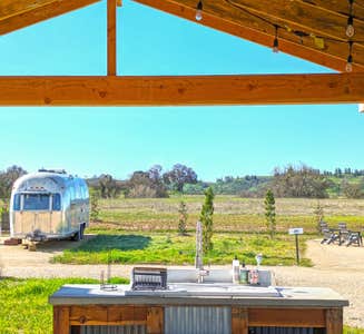 Camper-submitted photo from Vinyl Vineyards