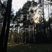 Review photo of Neches Bluff Overlook Campground by Adam H., January 10, 2019