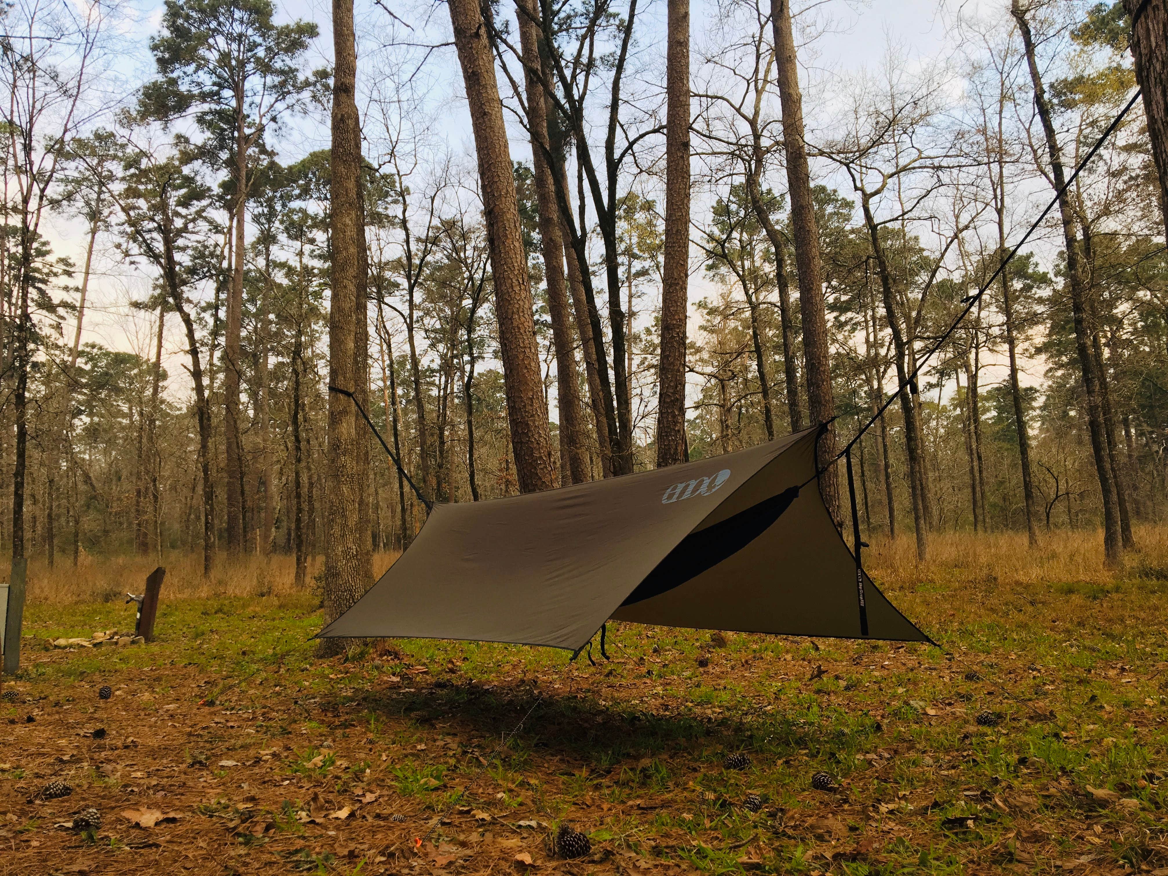 Adam H.'s photo at Ratcliff Lake Recreation Area near National Forests and Grasslands in Texas