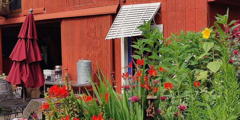 Camper submitted image from Art Farm Fennville