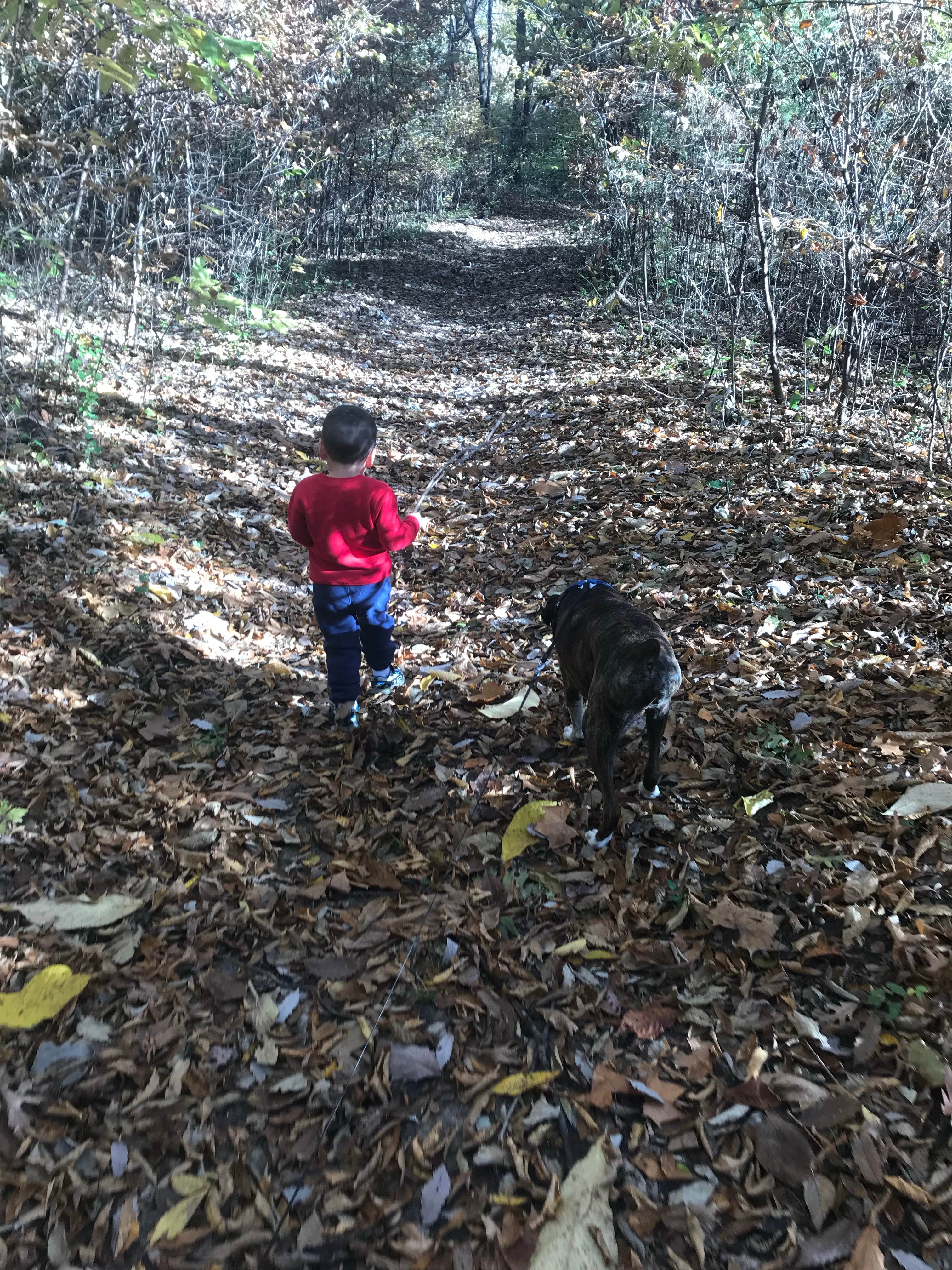 GW C.'s photo of camping with pets at Basswood Country RV Resort near Smithville, MO