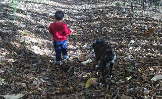 GW C.'s photo of camping with pets at Basswood Country RV Resort near Excelsior Springs, MO